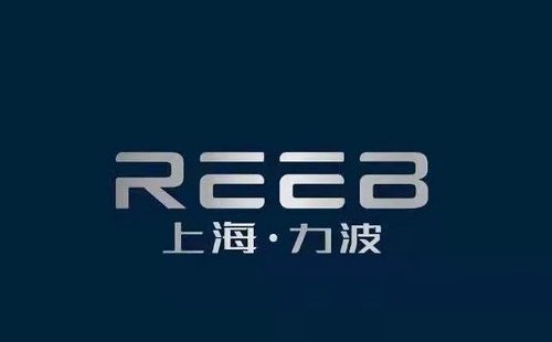 力波REEB1987