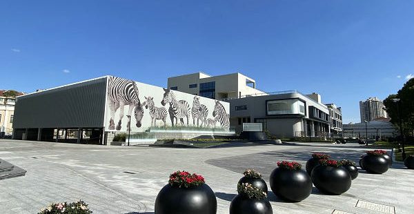国媒中心